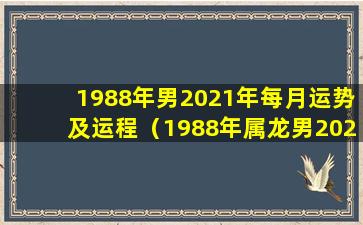 1988年男2021年每月运势及运程（1988年属龙男2021年每月运势及运 🐶 程）